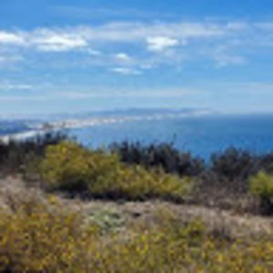 Meet your Posher, Tonya